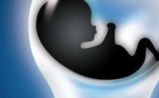 单角子宫可以做试管吗？大概需要多少费用？