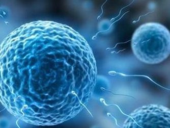 女性子宫肌瘤在成都市锦江区妇幼保健院做三代试管预算八万块够不够？