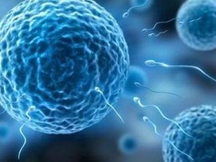 山西省汾阳医院试管价格大公开，2026助孕成功率数据出炉