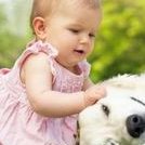 试管移植前的准备有哪些？