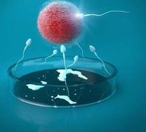 泰国三代试管婴儿费用全解析，预算规划与充足准备