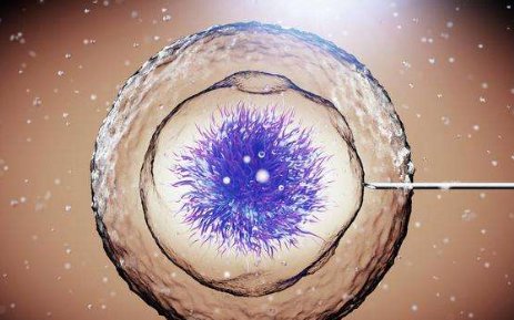 无锡904医院，无锡904医院试管婴儿费用